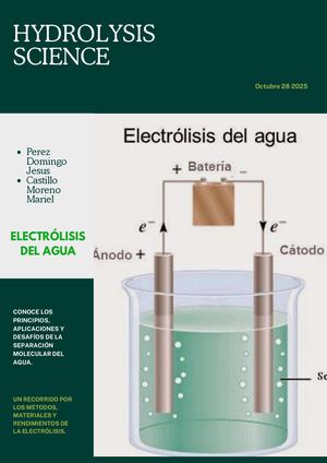 Electrolisis Del Agua
