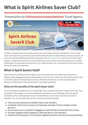 What is Spirit Airlines Saver Club?