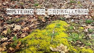 Misterio Na Carballeira 1