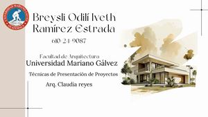 Proyecto Final Técnicas De Presentación De Proyectos (2)