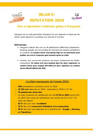 Bilan E Réputation 2024