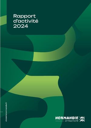 Rapport Activité 2024