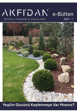 Akfidan E Bülten 1