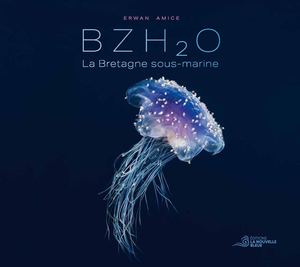 Bzh 2 O La Bretagne sous-marine