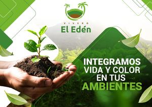 Eden Brochure
