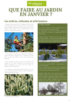 Que faire au jardin