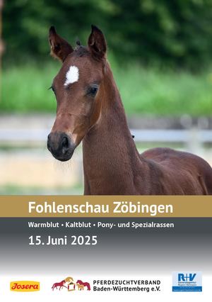 Fohlenschau Zöbingen 2025
