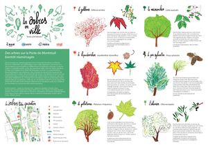 Les arbres en ville, toute une histoire