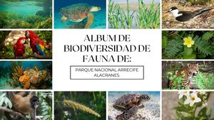 Album De Biodiversidad De Fauna De Parque Nacional Arrecife Alacranes
