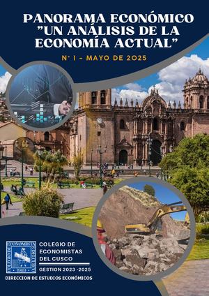 Panorama Economico N°1