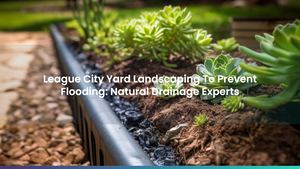 League City Yard Landscaping To Prevent Flooding: Natural Drainage Experts