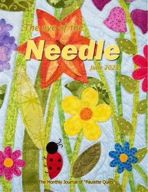 Eye Of Needle Newsletter June 2025