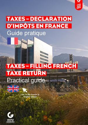 Taxes - The French Income Tax Return