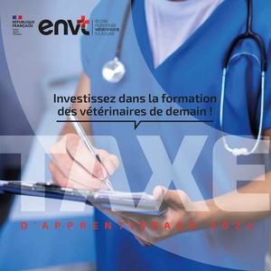 Diplôme d’École en médecine de population des bovins, programme 2021/2023
