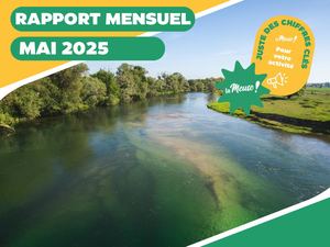 Rapport mensuel du tourisme Meuse - Mai 2025