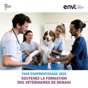 Taxe d'apprentissage 2025