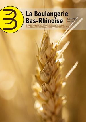 Bulletin N°308 - Juin 2025