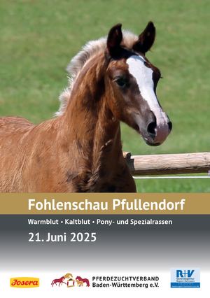 Fohlenschau Pfullendorf