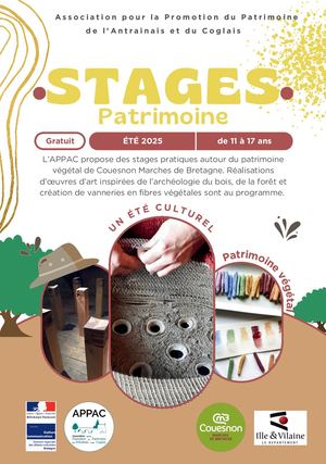 Stages Eté Culturel 2025