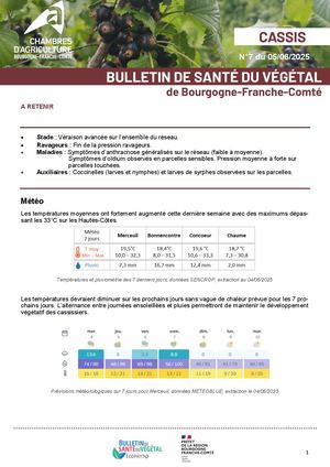 Bsv Cassis N 7 Du 05 06 2025