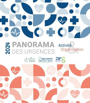 Panorama2024 édition Juin 2025