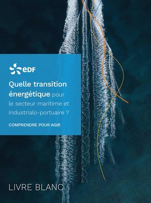 le livre blanc "Quelle transition énergétique pour le secteur maritime et industrialo-portuaire?"