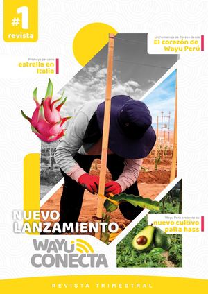 Revista Wayu Conecta