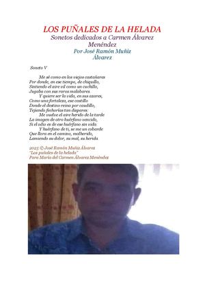 Los puñales de la helada-soneto V