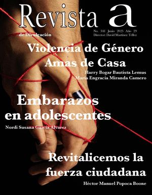 Revista a 341 Junio 2025 Año 29