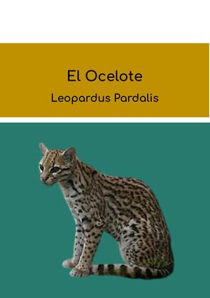 El ocelote
