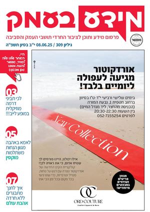 מידע בעמק גיליון 309