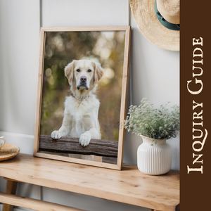 AWP Inquiry Guide 2025 (B)