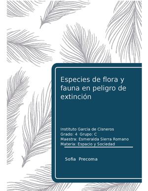 Animales En Peligro De Extincion