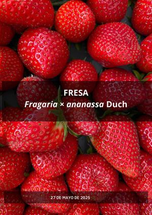 Cartilla De Fresa (1)