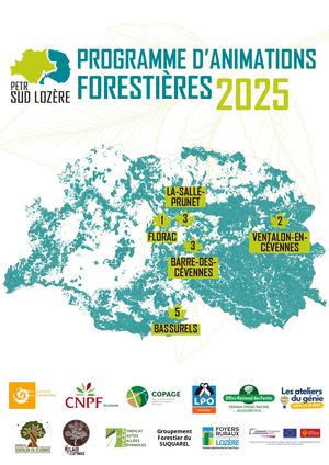 Programme D’animations Forestières