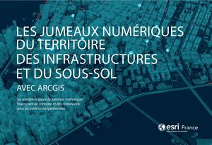 Ebook Jumeau numérique