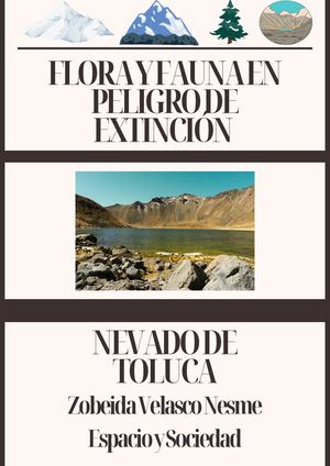Nevado De Toluca Especies En Peligro De Extinción Revista