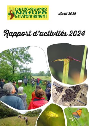 Rapport Activite Dsne 2024