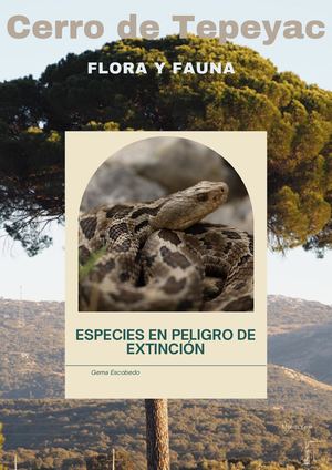 Cerro De Tepeyac Especies En Peligro De Extinción