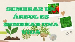 Presentación Wrapped Resumen Del Año Collage Fotos Naranja (2)