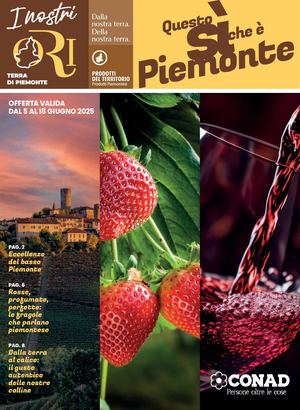 volantino-CNO-Conad-Abbasanta-05-06-25-to-18-06-25