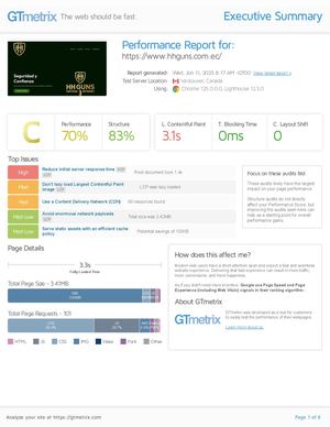 Informe De Rendimiento Hhguns Com Ec, Jun 11 2025