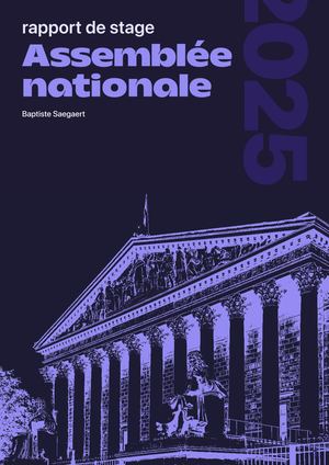 Rapport De Stage