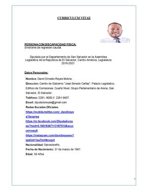 David Reyes Curriculum Diputado