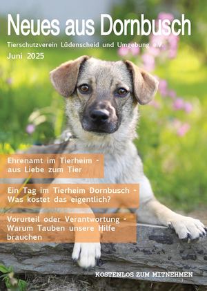 Neues aus Dornbusch2025