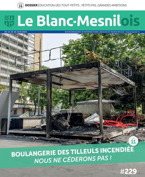 Le Blanc Mesnilois N°229