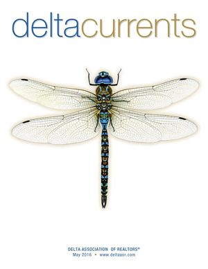 Delta Currents May 2016