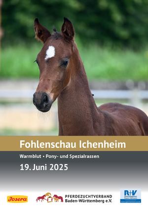 Fohlenschau Ichenheim 2025