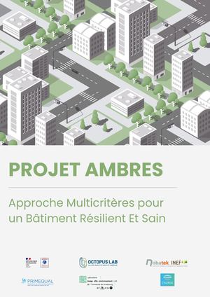 Synthèse Projet AMBReS