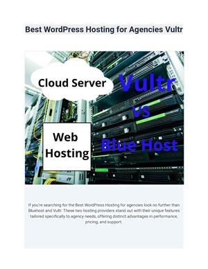 Best Word Press Hosting For Agencies Vultr